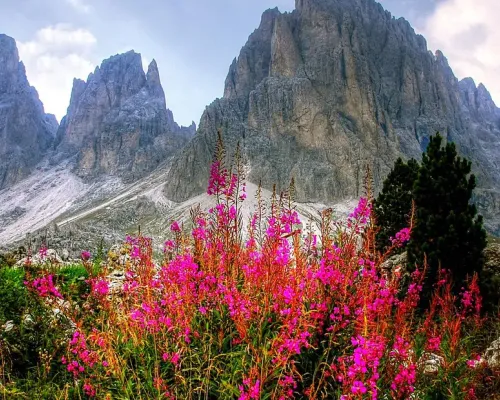 Dolomite Mountains and Cortina Semi Private Day Trip from Venice